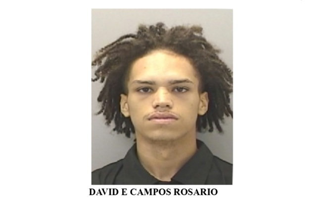 David E Campos Rosario